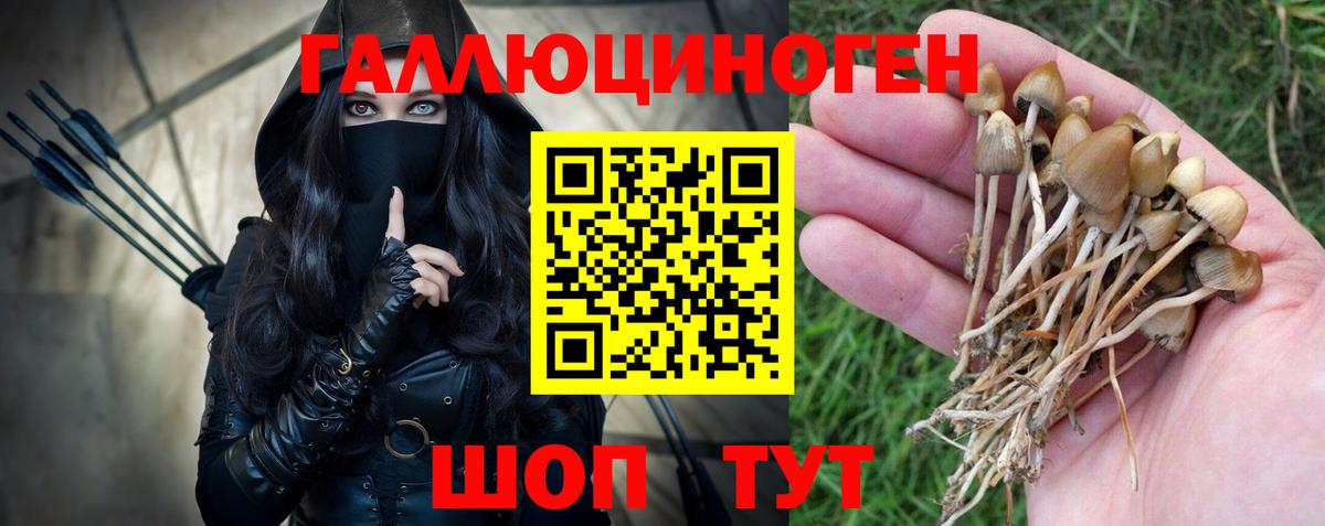 Кириши  Псилоцибиновые грибы MAGIC MUSHROOMS  Галлюциногенные грибы GOLDEN TEACHER  цены   Вход с VPN 